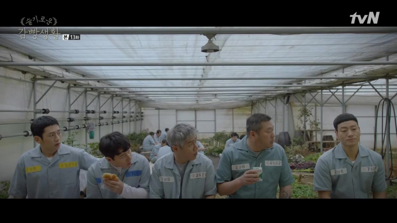 Prison Playbook (Wise Prison Life)