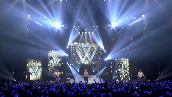 winner tv DVD