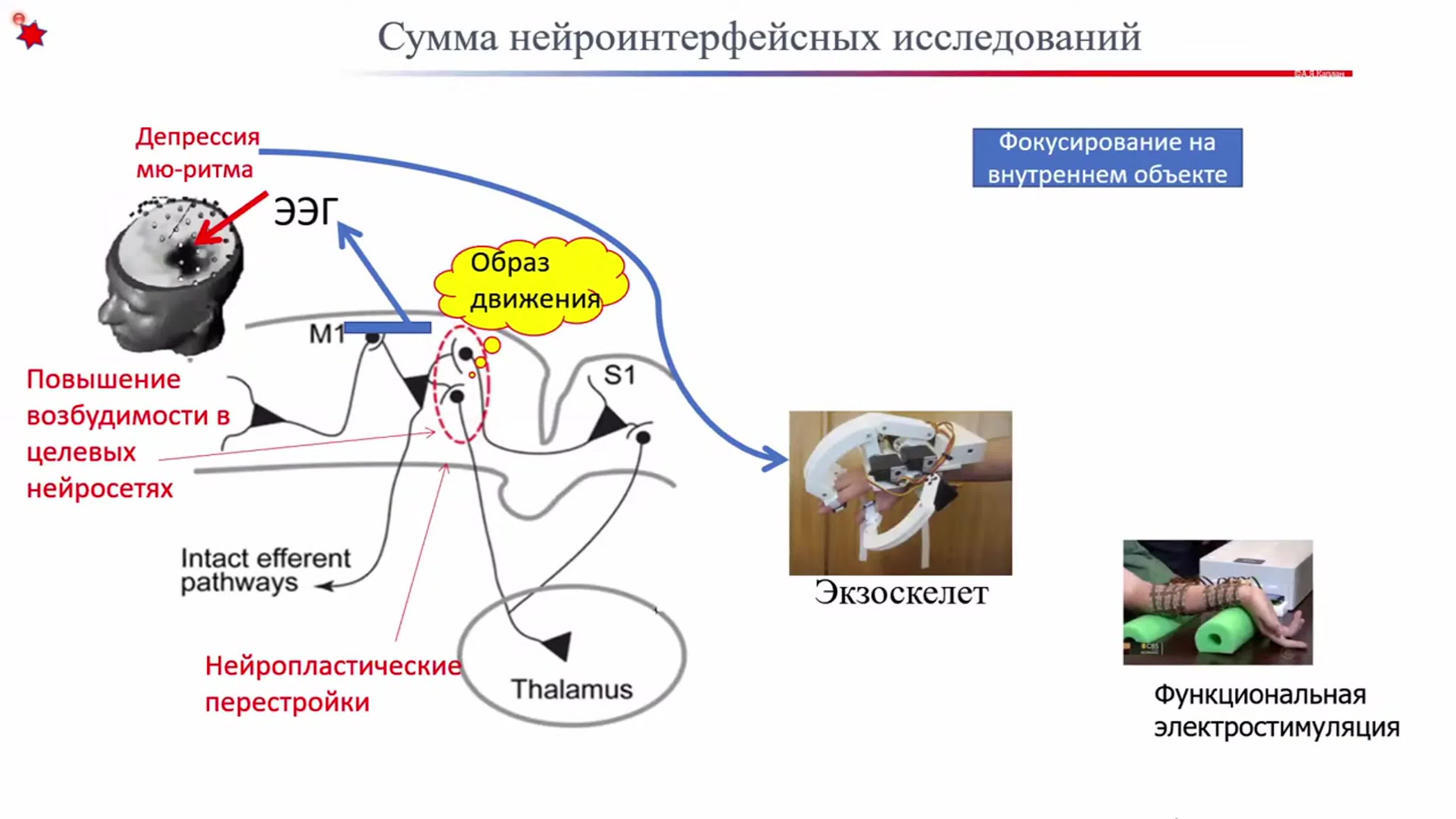 Первый Национальный Конгресс по когнитивным исследованиям, искусственному интеллекту и нейроинформатике. Часть 2. День 2. (10 -