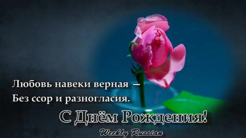 цветы