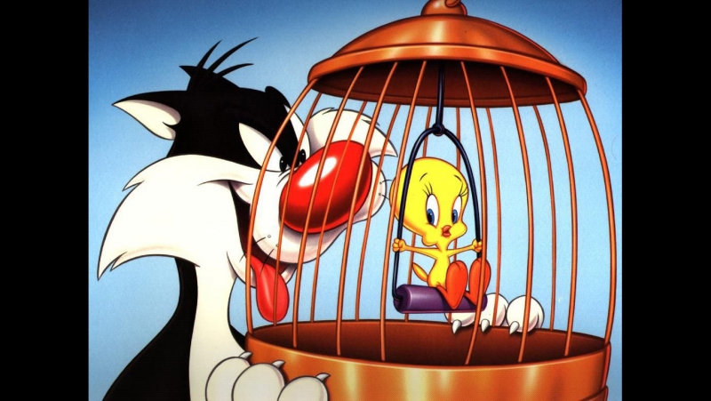 SILVESTRE Y PIOLIN