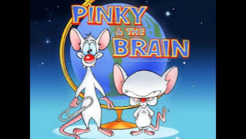 PINKY Y CEREBRO