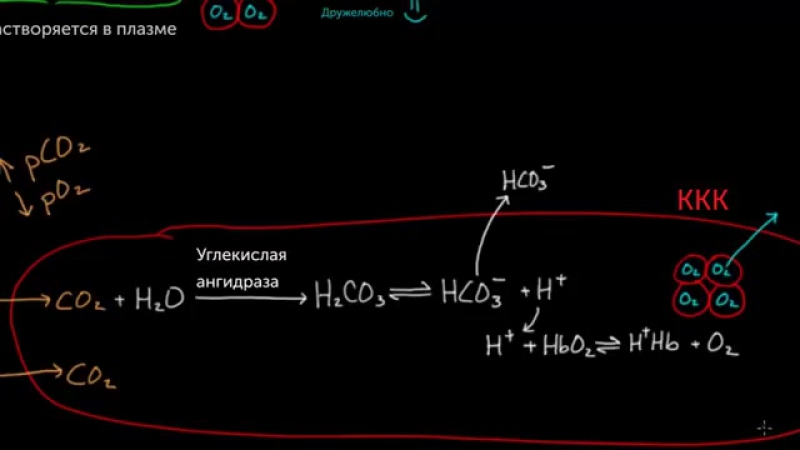 🎬 Всё о крови. Подборка увлекательных видеороликов.