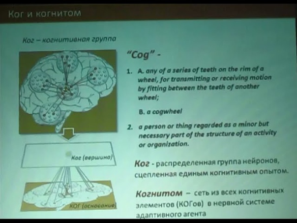 Теория когнитома. Анохин Константин Владимирович. (2012-2016)