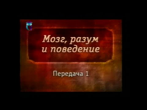 Мозг, разум и поведение