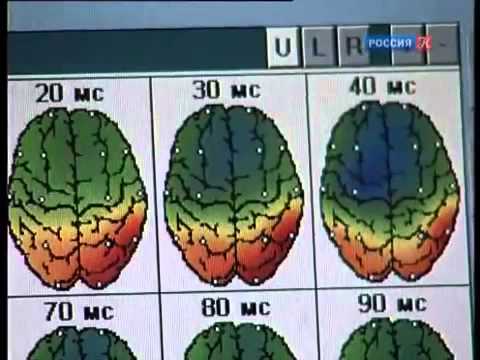 Подборка фильмов о работе человеческого мозга