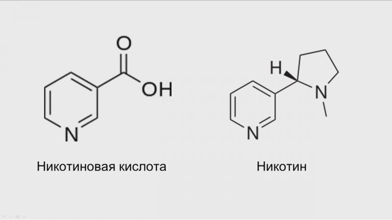 Наука за полчаса