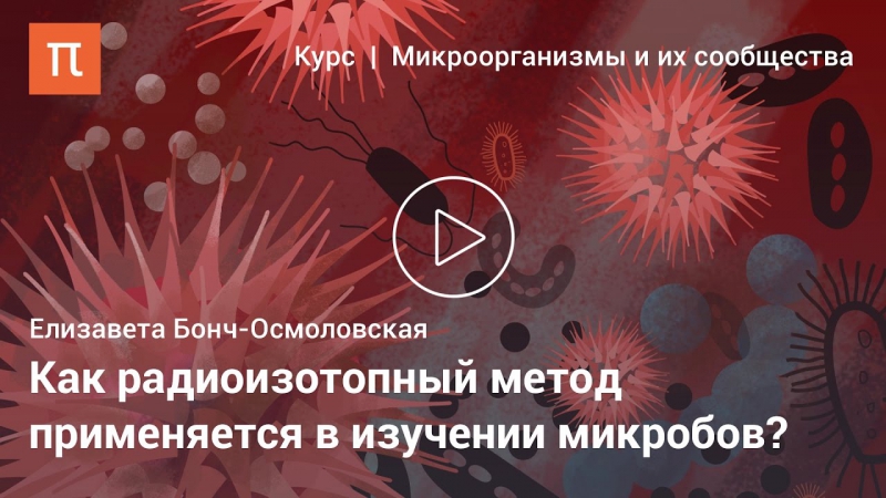 Курс «Микроорганизмы и их сообщества»