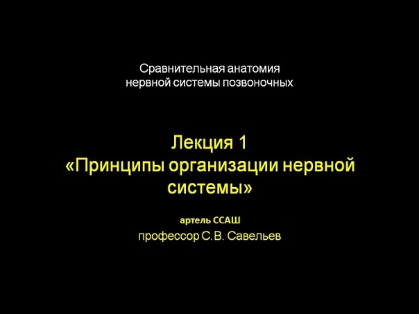 Спецкурс "Сравнительная анатомия нервной системы позвоночных"