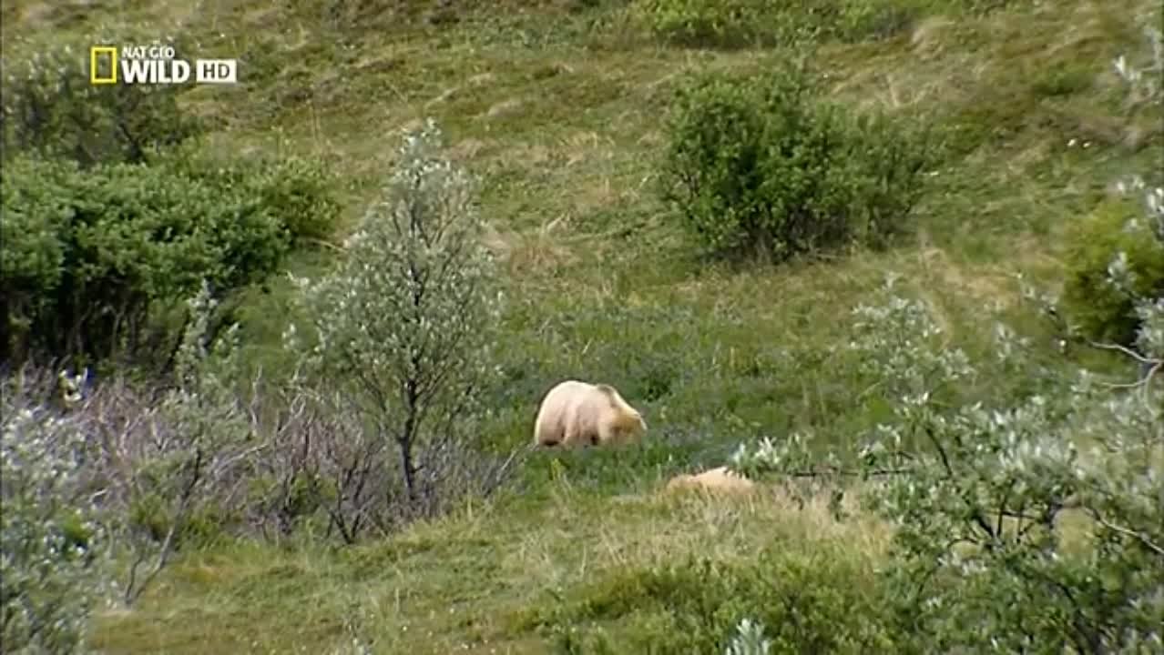 В поисках людоеда