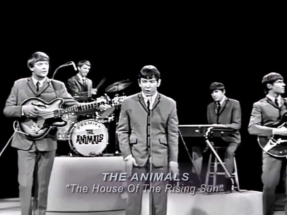 The Animals