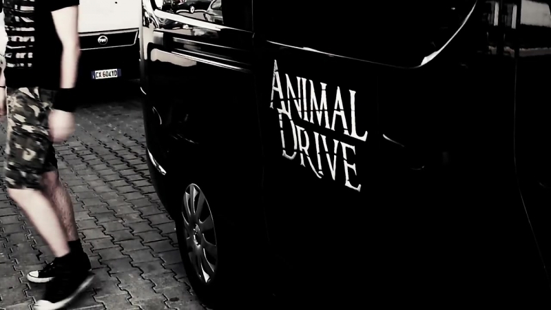 Animal Drive