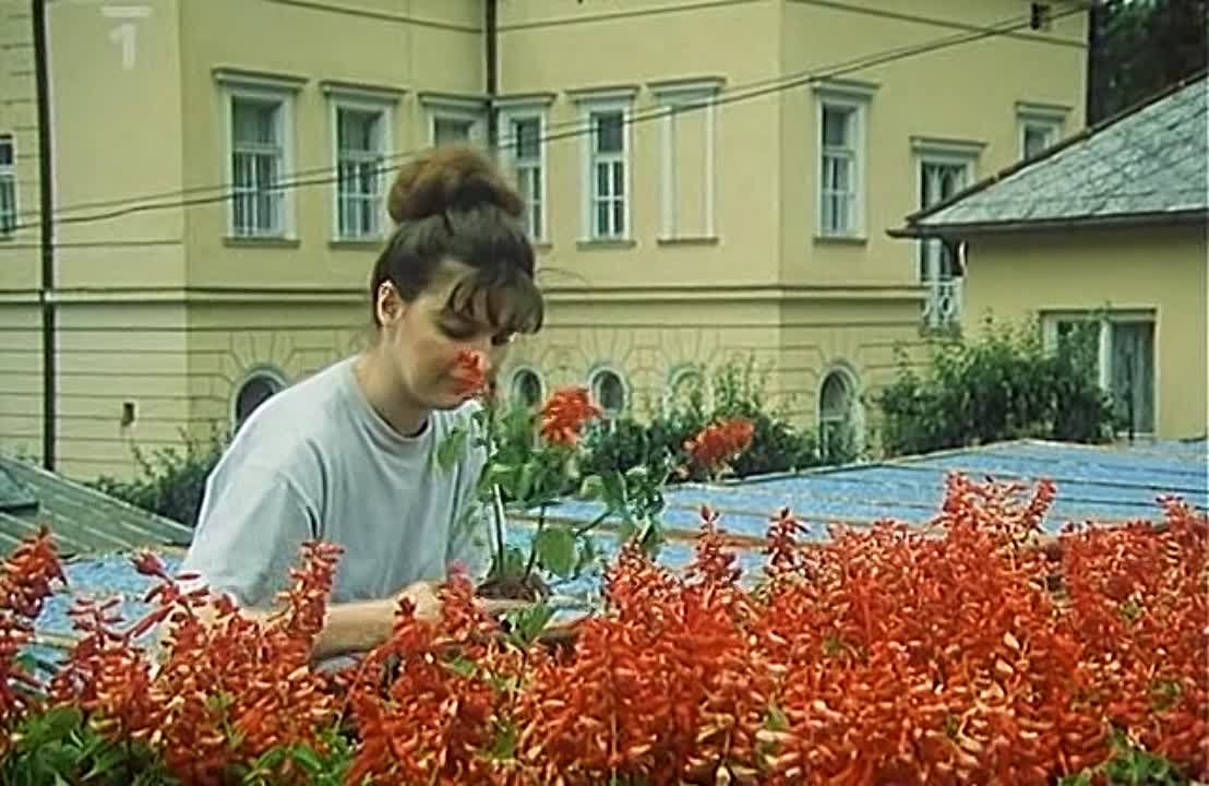 Где падают звёзды / Где падали звезды/Kde padají hvězdy / Where Stars Fall 1996🇨🇿