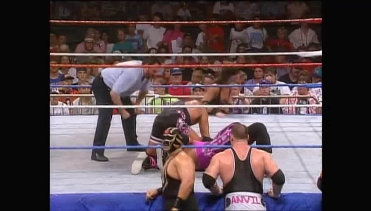 Документальные фильмы (Attitude Era)