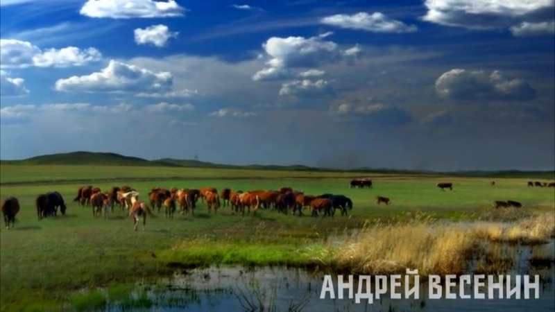 ~ Андрей Весенин ~