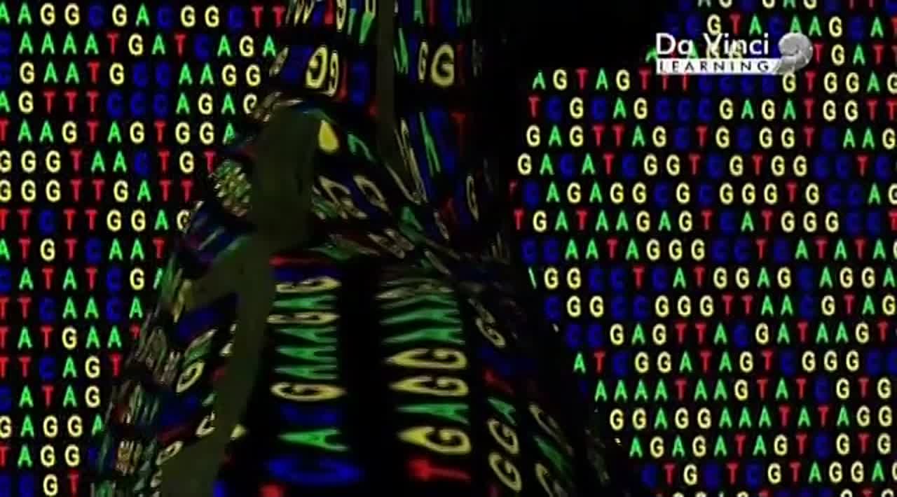 Генетический код The Gene Code