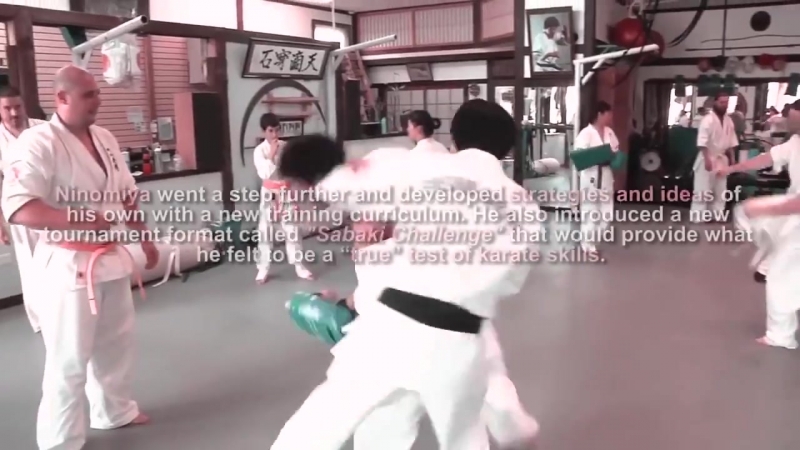 Enshin Karate.