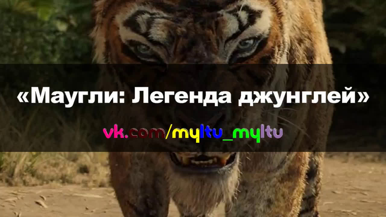 ~ФИЛЬМ~