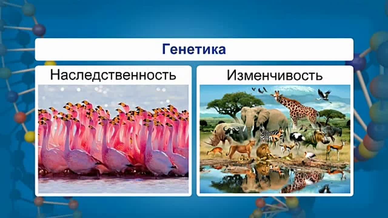 Уроки биологии. 10 класс