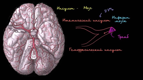 Видеолекции