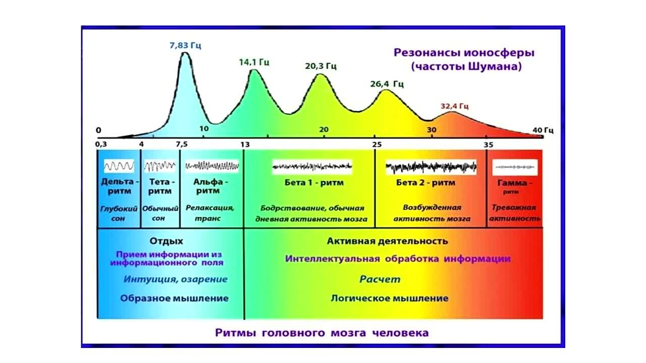 Андрей Жуков