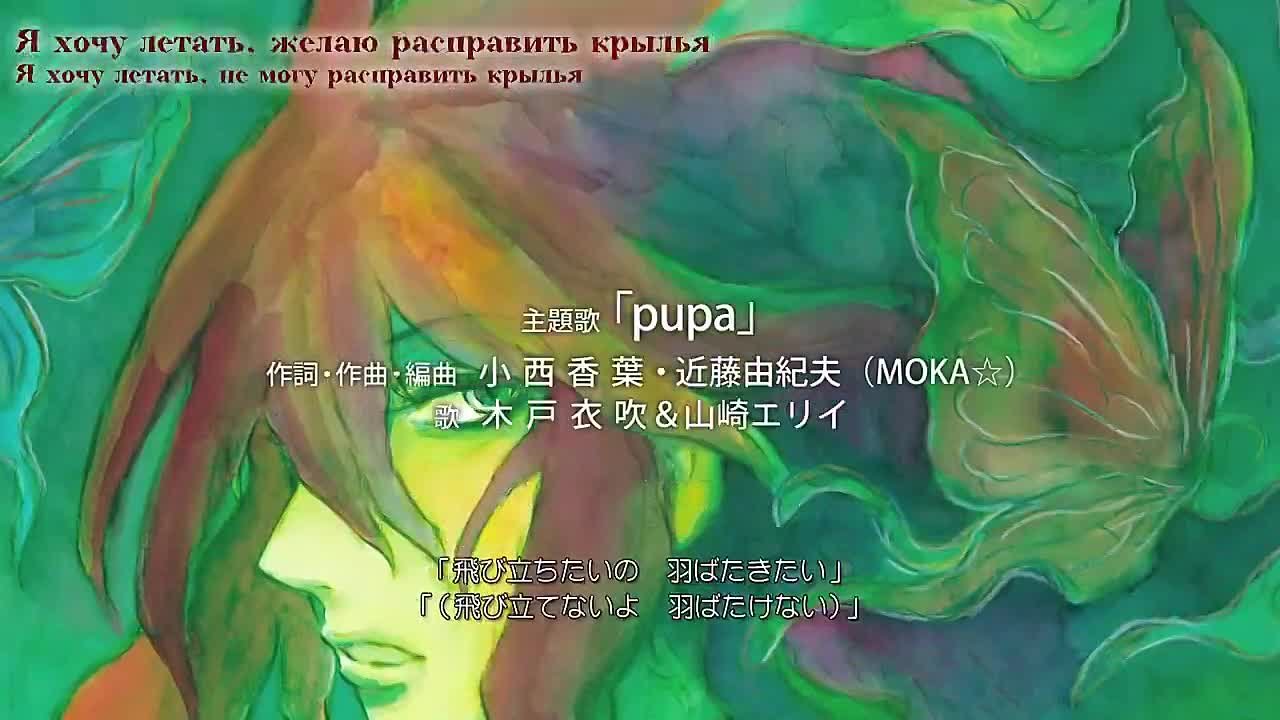 Pupa / Куколка