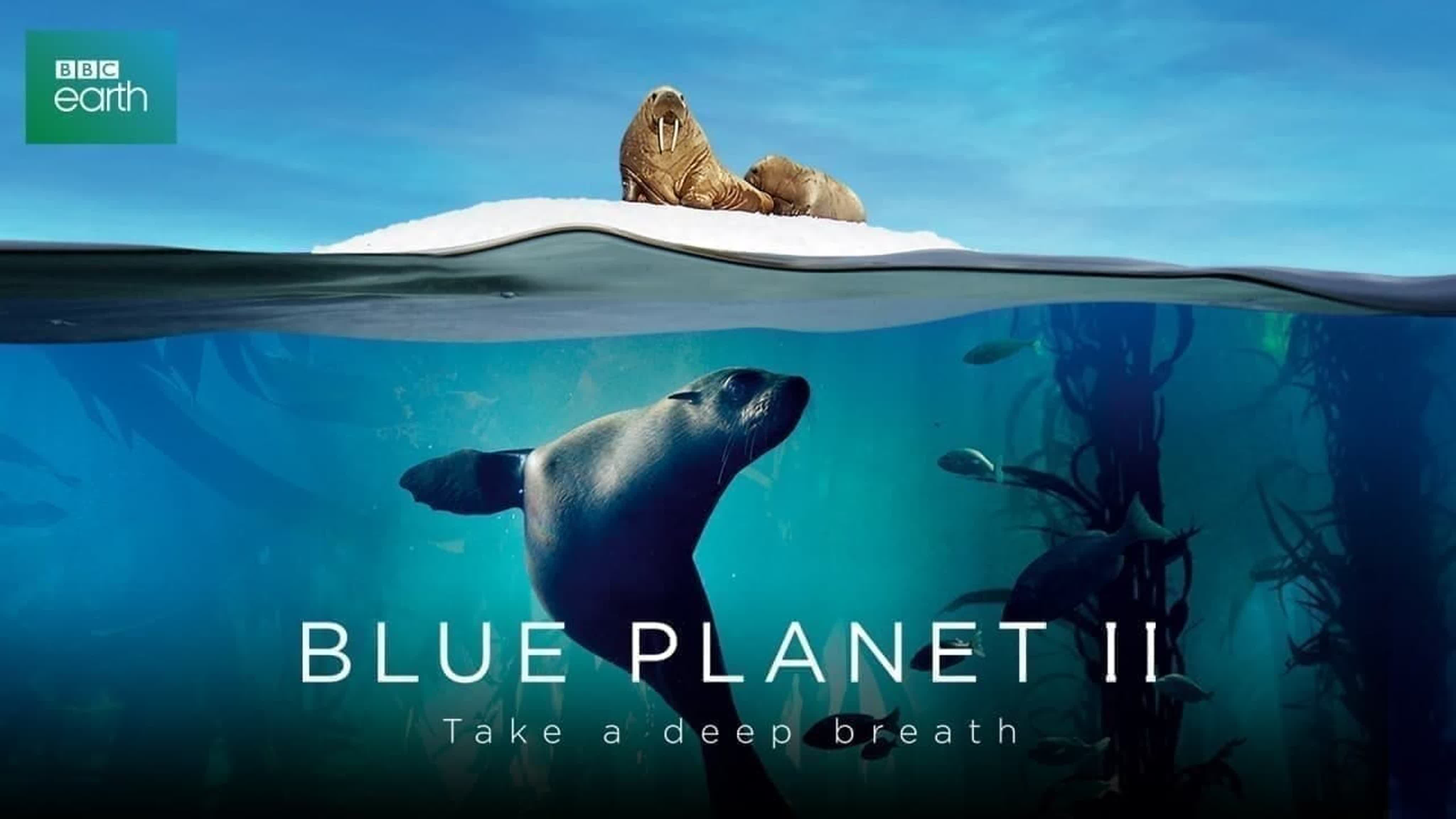 Голубая планета II / Blue Planet II (2017)