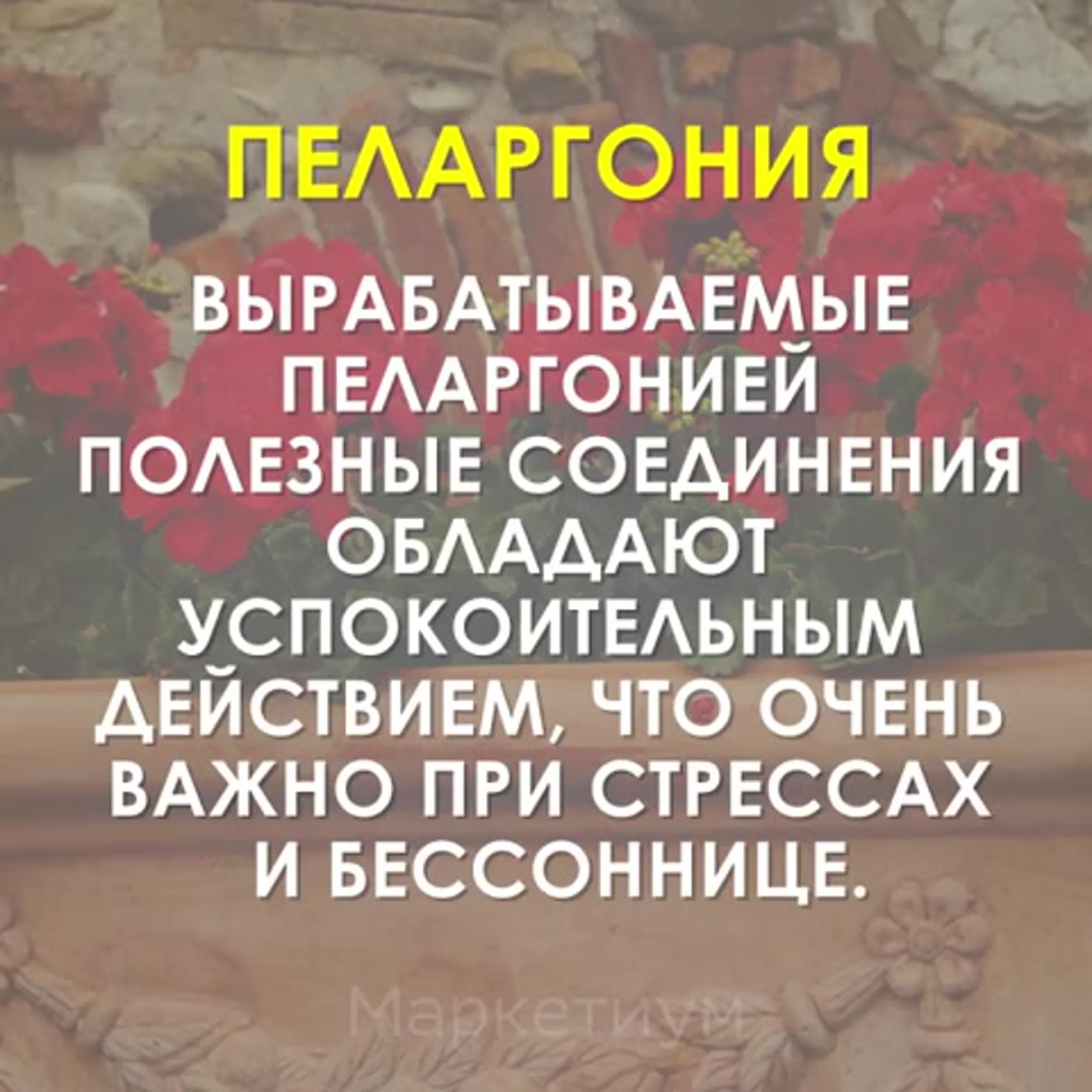 Секреты трав