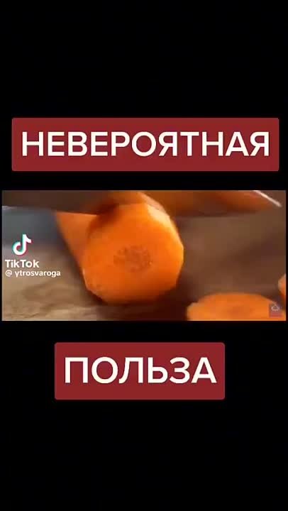 ЗДОРОВЬЕ