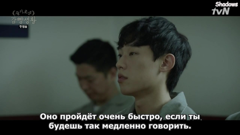 Мудрая жизнь в тюрьме / Prison Playbook