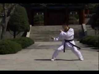 Taekwondo