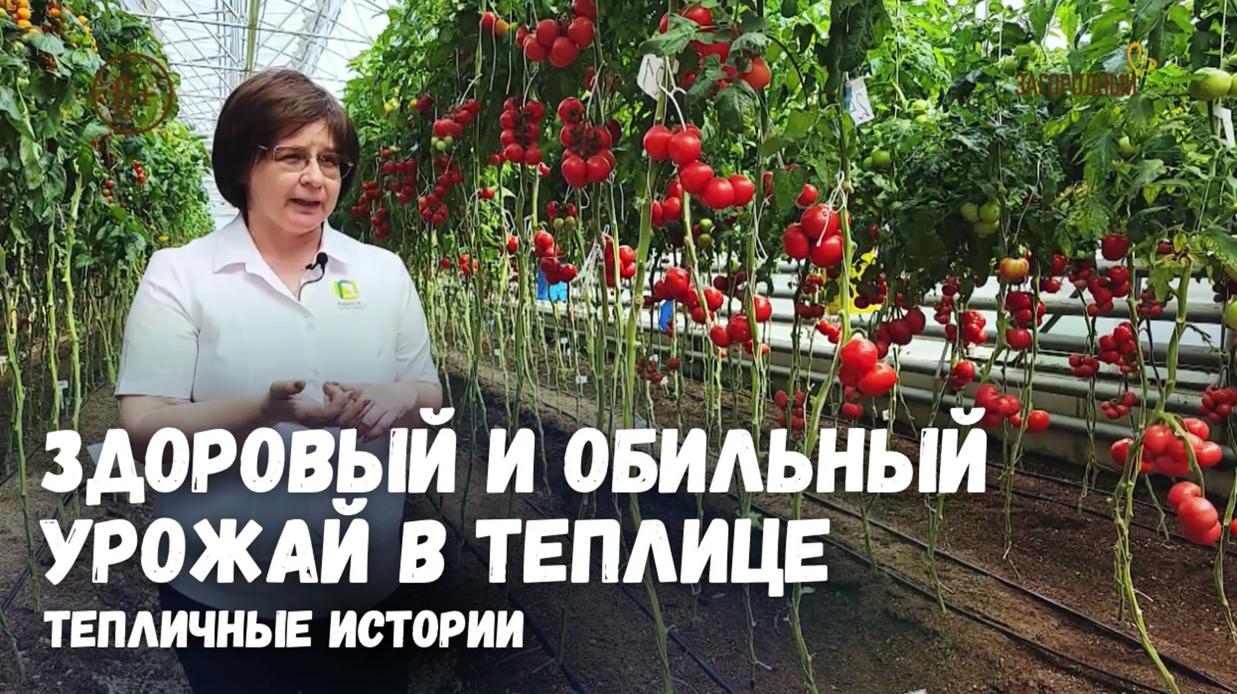 Тепличные истории