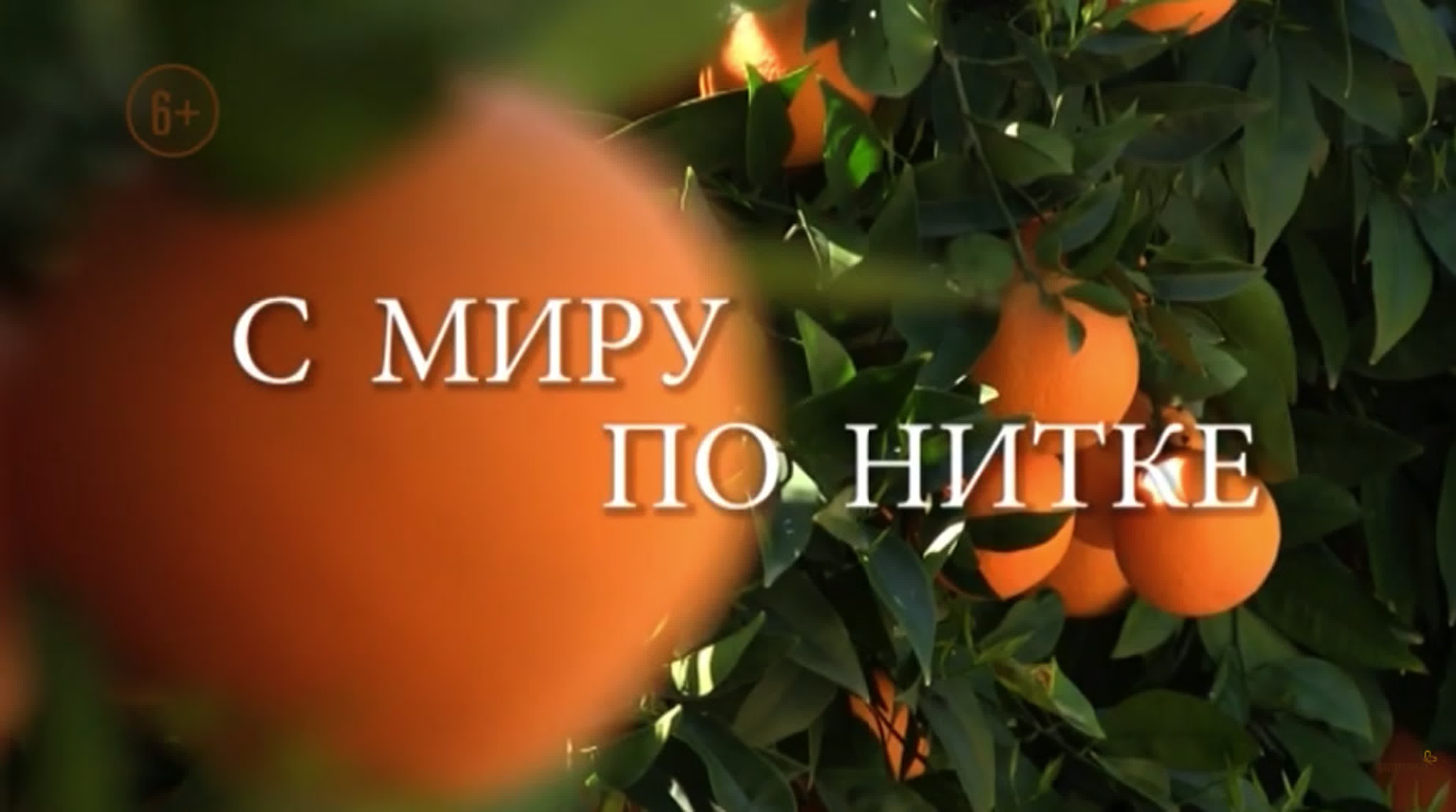 С миру по нитке