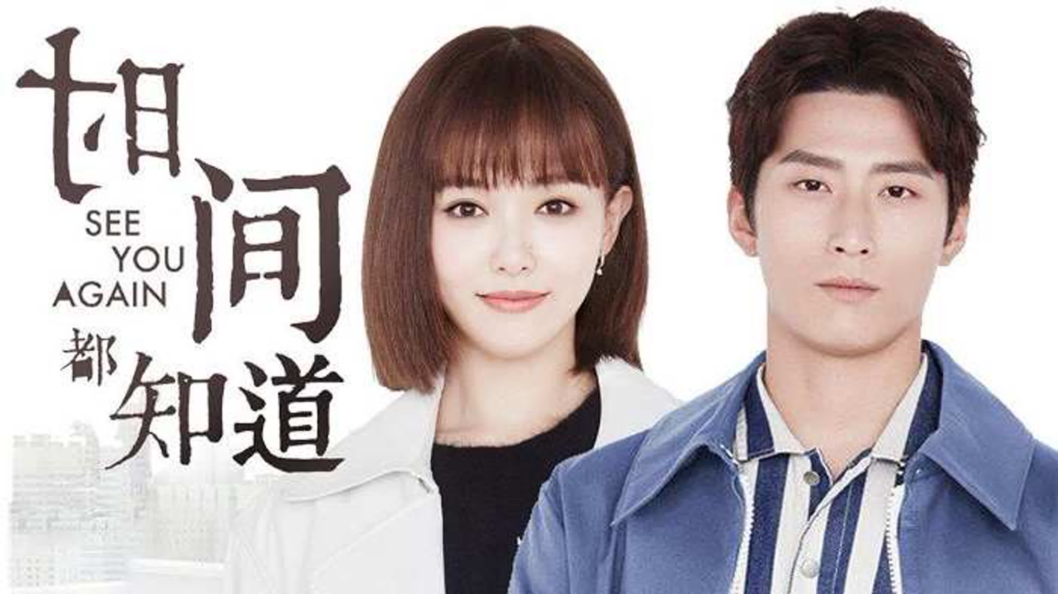 SEE YOU AGAIN (C-drama)