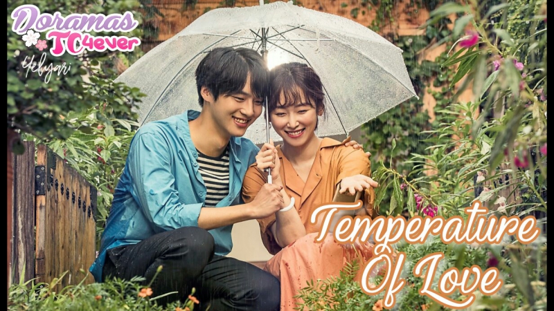 TEMPERATURE OF LOVE