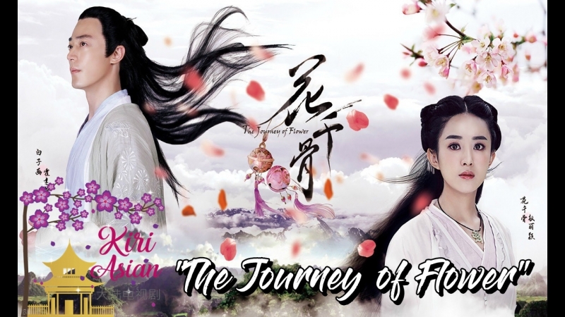 THE JOURNEY OF FLOWER