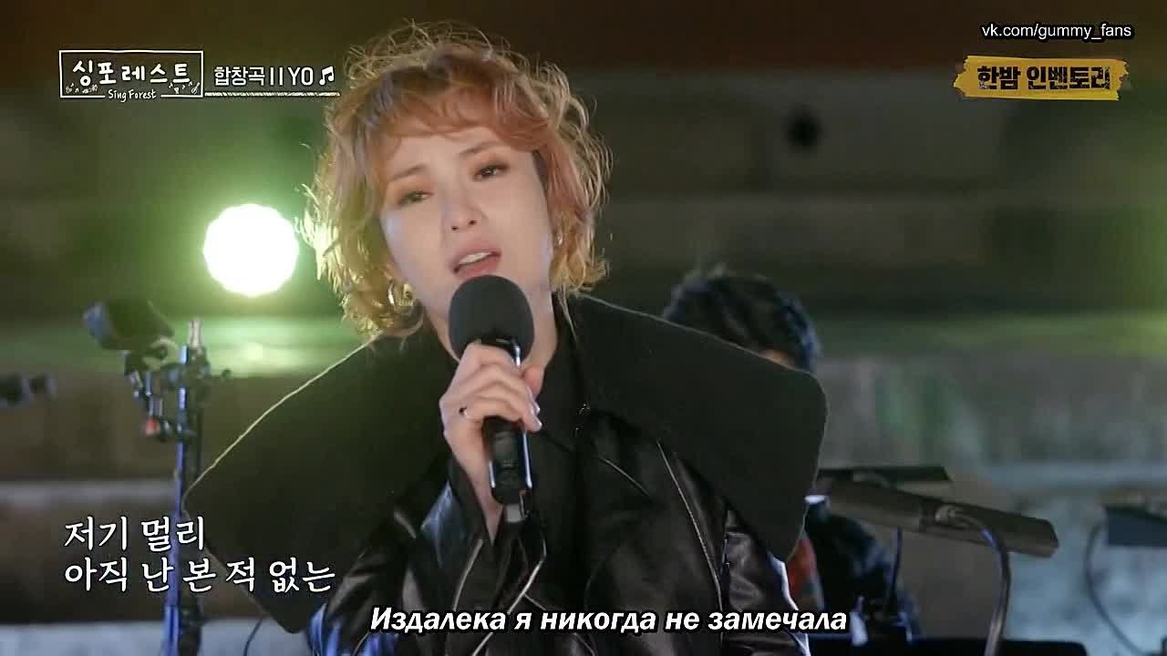 GUMMY/FanSub