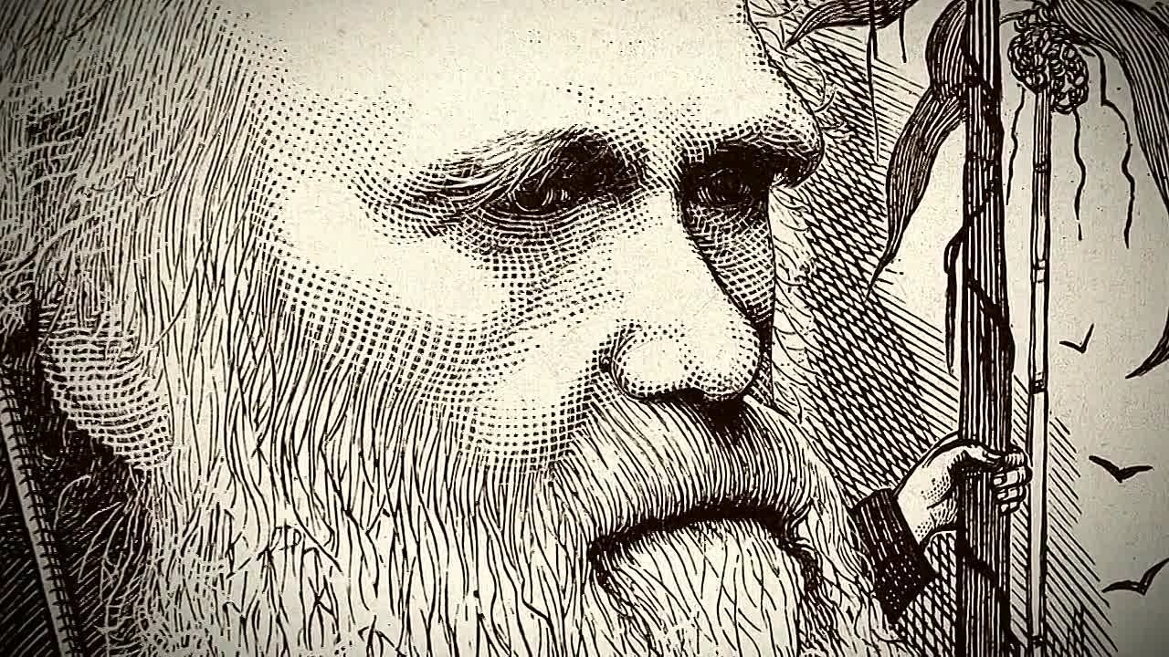 Чарльз Дарвин и Древо жизни / Charles Darwin and the Tree of Life (2009)