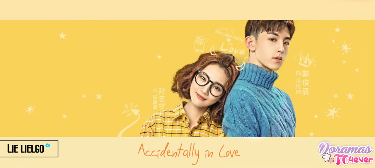 Accidentally in Love (2018)✔