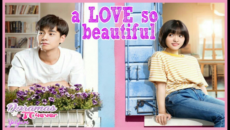 A Love so Beautiful (2017)✔