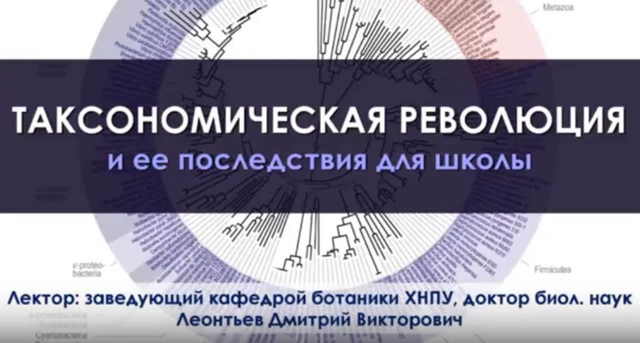 «Новая систематика» — доктор биологических наук Дмитрий Леонтьев