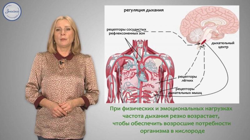 Видеоуроки по биологии