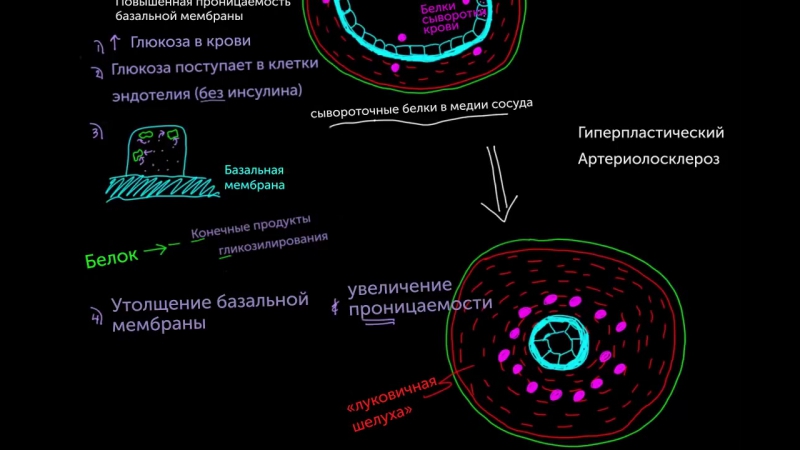 KhanAcademy (биология).