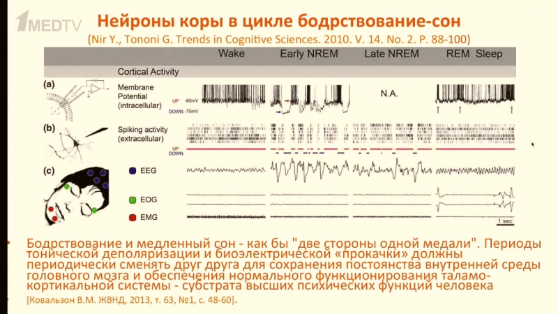 Медицина в контексте