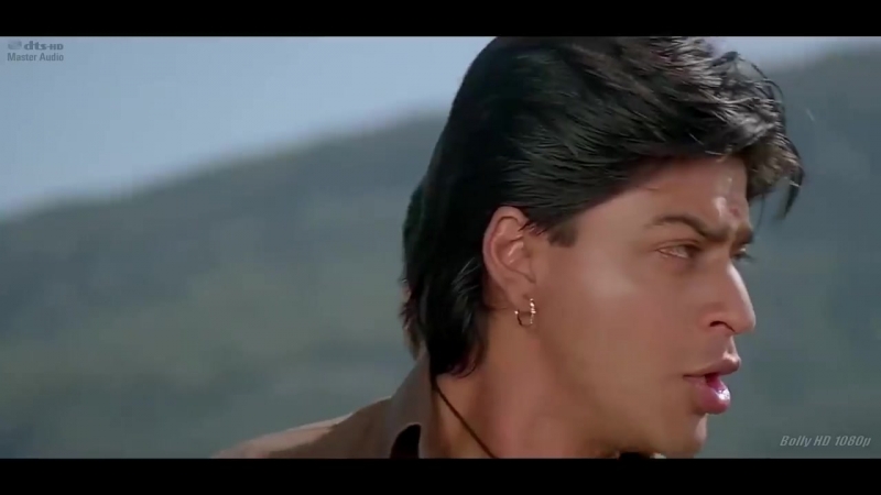 Каран и Арджун (1995) Karan Arjun