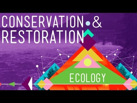 Ecology | CrashCourse (13/13)