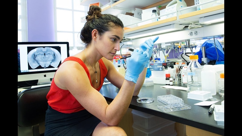 Women In Science (L'Oréal-UNESCO)