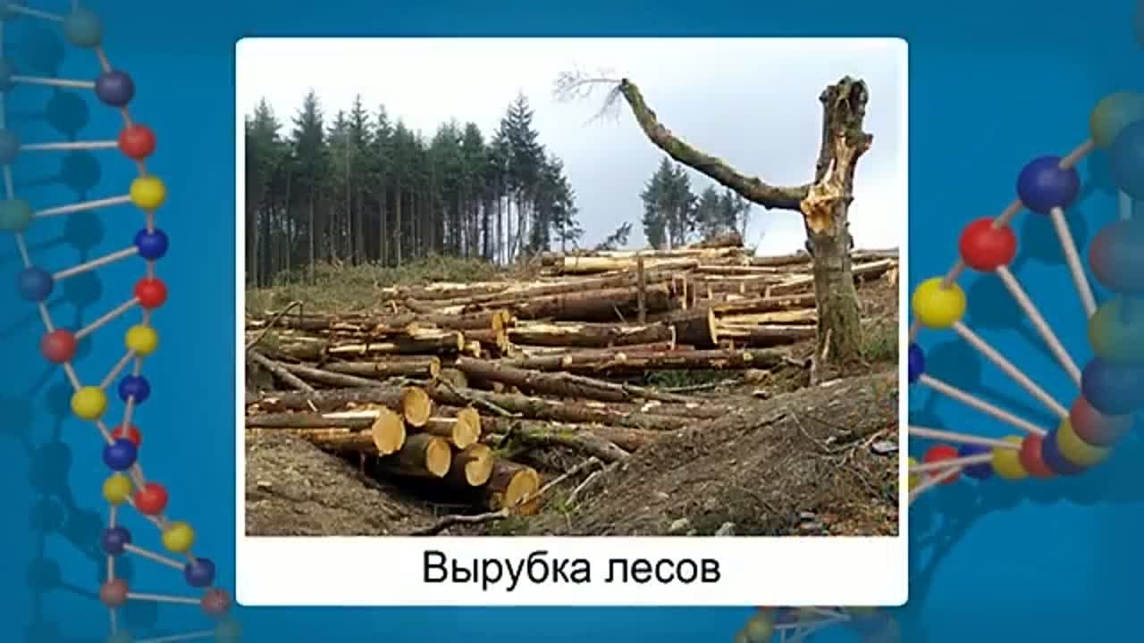 Уроки биологии. 9 класс