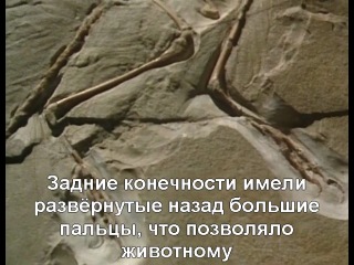 Погибшие миры. Исчезнувшая жизнь / Lost Worlds: Vanished Lives