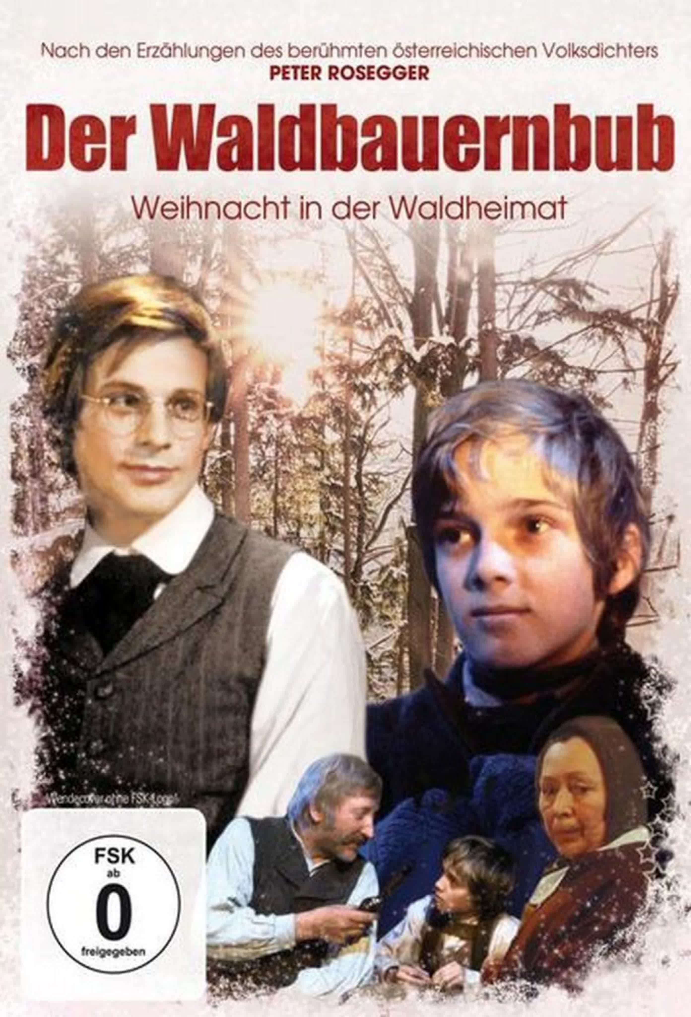 Дом в лесу / Моя жизнь в лесу / Waldheimat / Der Waldbauernbub (1983 Австрия, ФРГ)